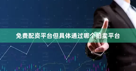 免费配资平台但具体通过哪个拍卖平台