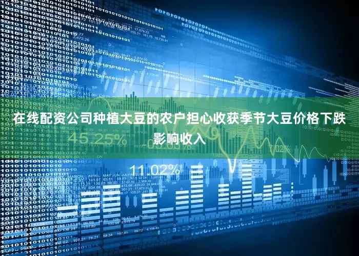 在线配资公司种植大豆的农户担心收获季节大豆价格下跌影响收入