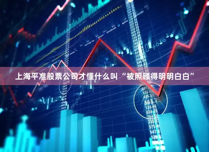 上海平准股票公司才懂什么叫 “被照顾得明明白白”