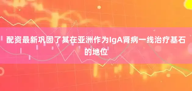 配资最新巩固了其在亚洲作为IgA肾病一线治疗基石的地位