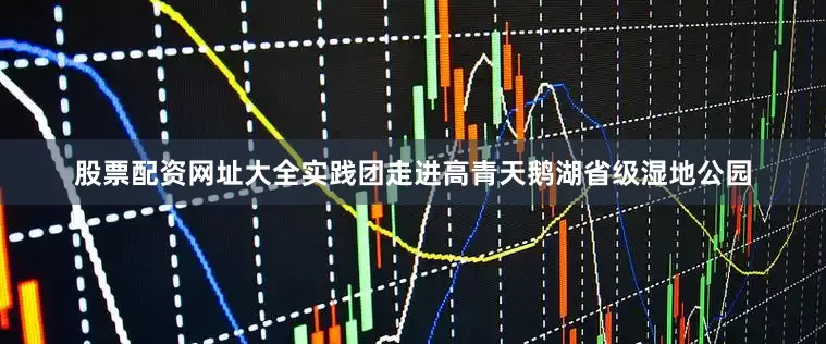 股票配资网址大全实践团走进高青天鹅湖省级湿地公园